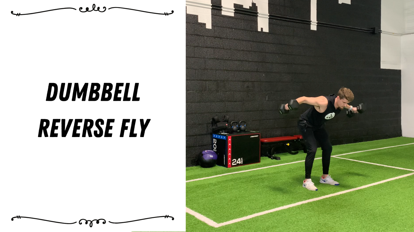 'Video thumbnail for Dumbbell Reverse Fly'