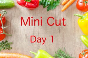 Mini Cut Day 1
