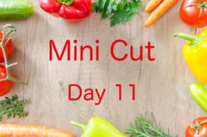 Mini Cut Day 11