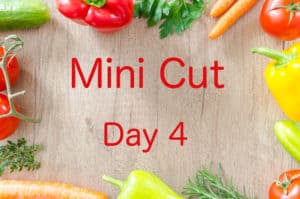 Mini Cut Day 4