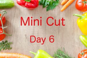 Mini Cut Day 6