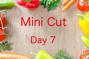 Mini Cut Day 7