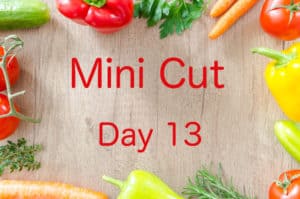 Mini Cut Day 13