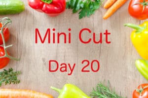 Mini Cut Day 20