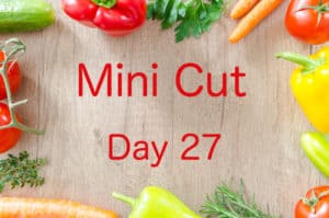 Mini Cut Day 27