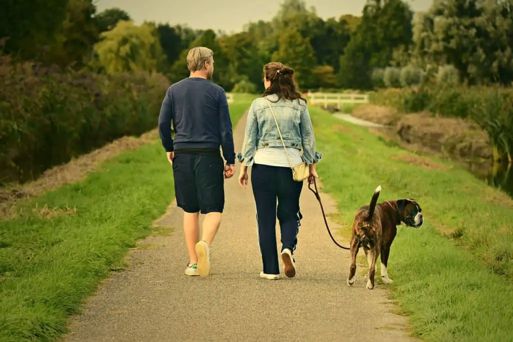 Man and Woman Walking Dog