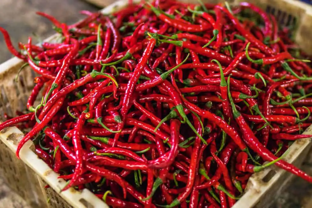 Chillis - Diet plan for a 50 year old woman