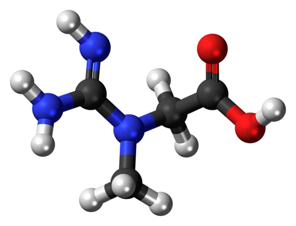 Creatine Molecule