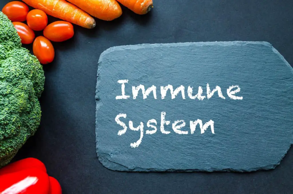 Immune System