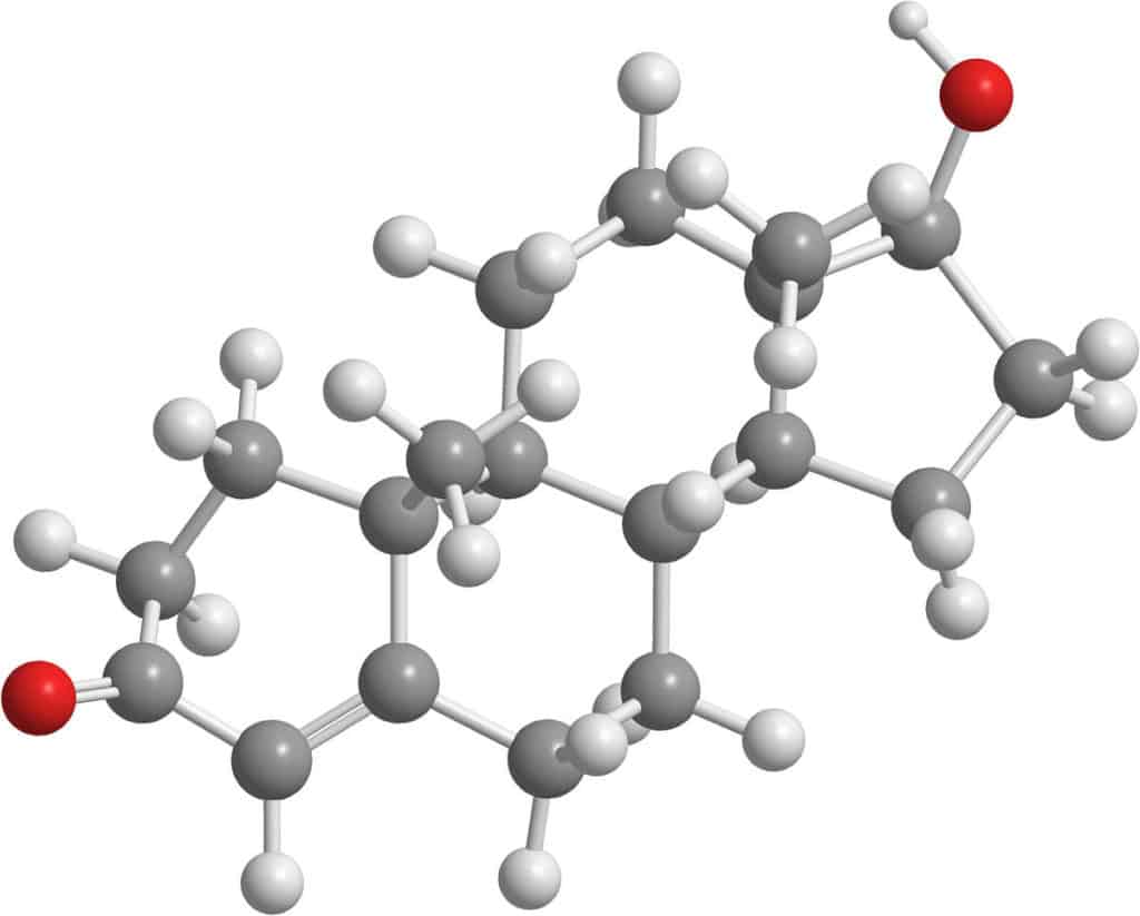 Testosterone Molecule