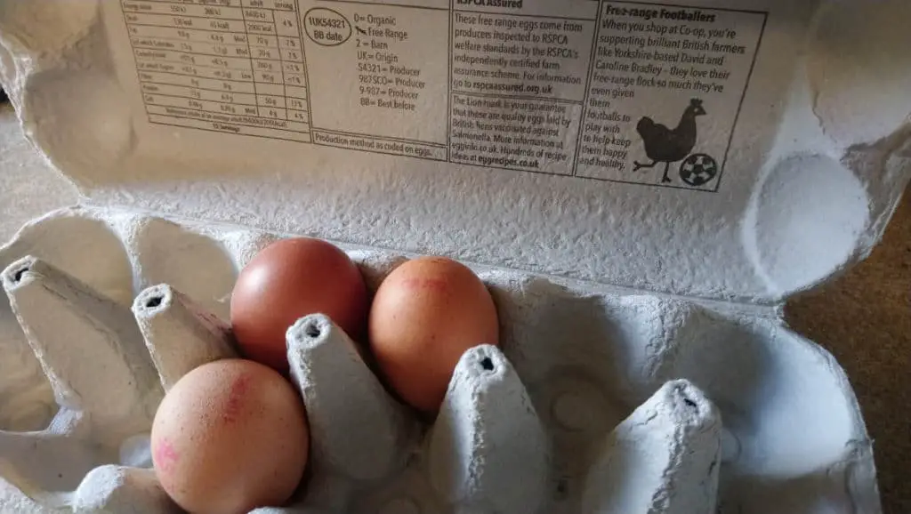 10 Amazing Protein Shakes for Weight Loss You Can Take!