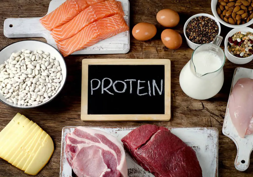 How Much Protein Do Older Adults Need