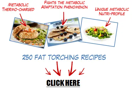 Fat Burning Recipes