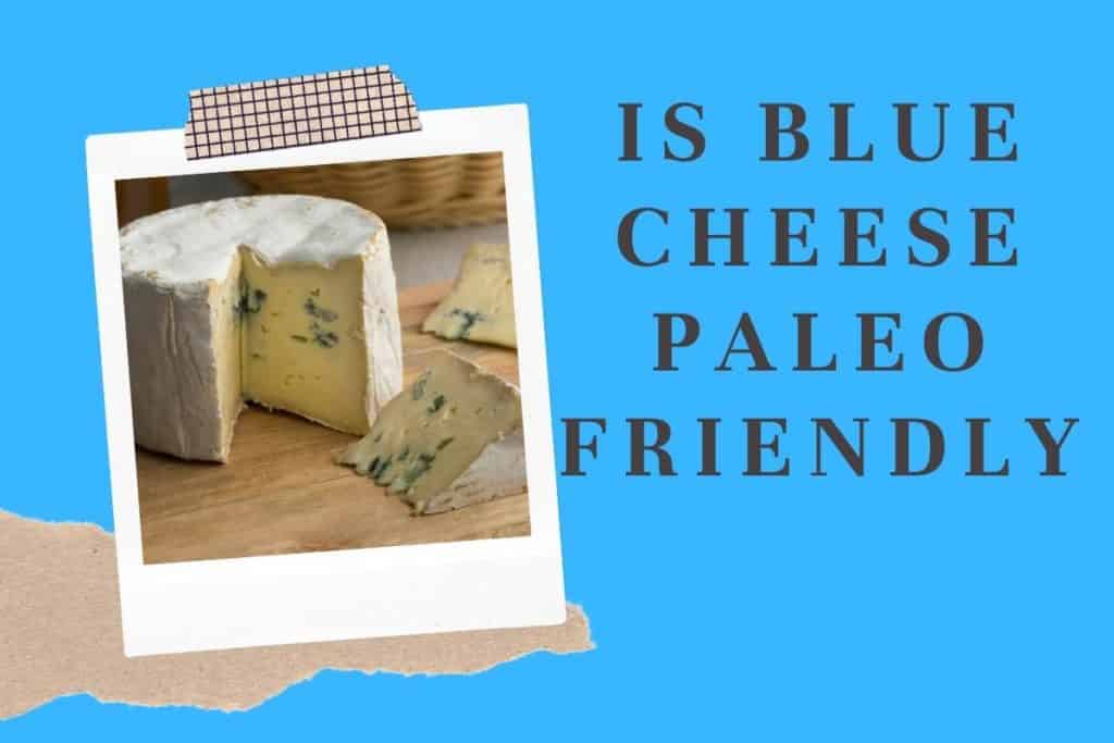 Is Blue Cheese Paleo Friendly