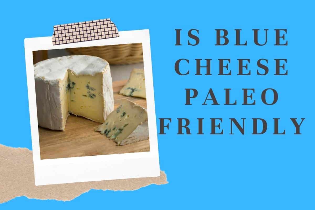 Is Blue Cheese Paleo Friendly?
