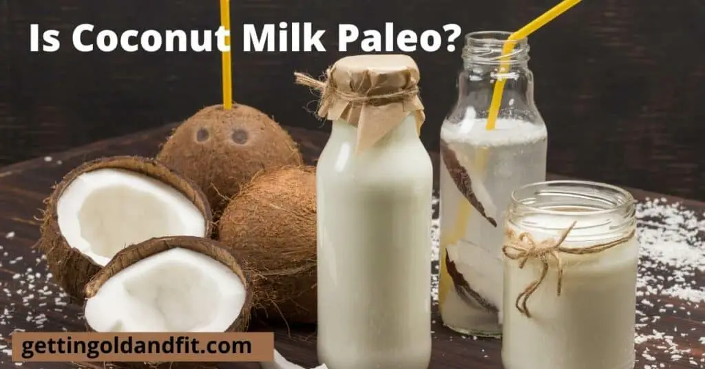 coconut milk allowed on the paleo diet